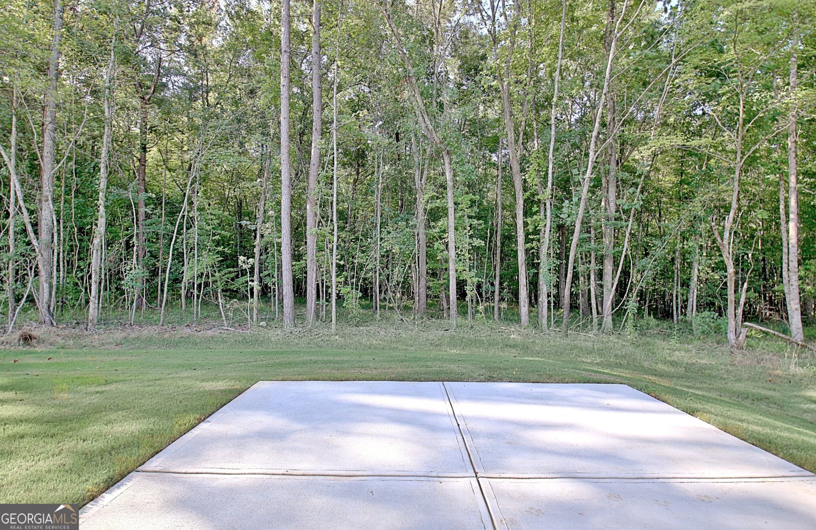 441 Evelyn Drive Greenville - 37