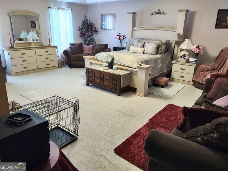 1074 DESHON Trail Lithonia - 19