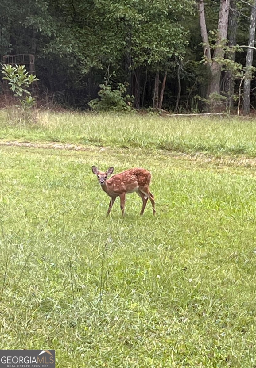 3545 Liberty Road Villa Rica - 48