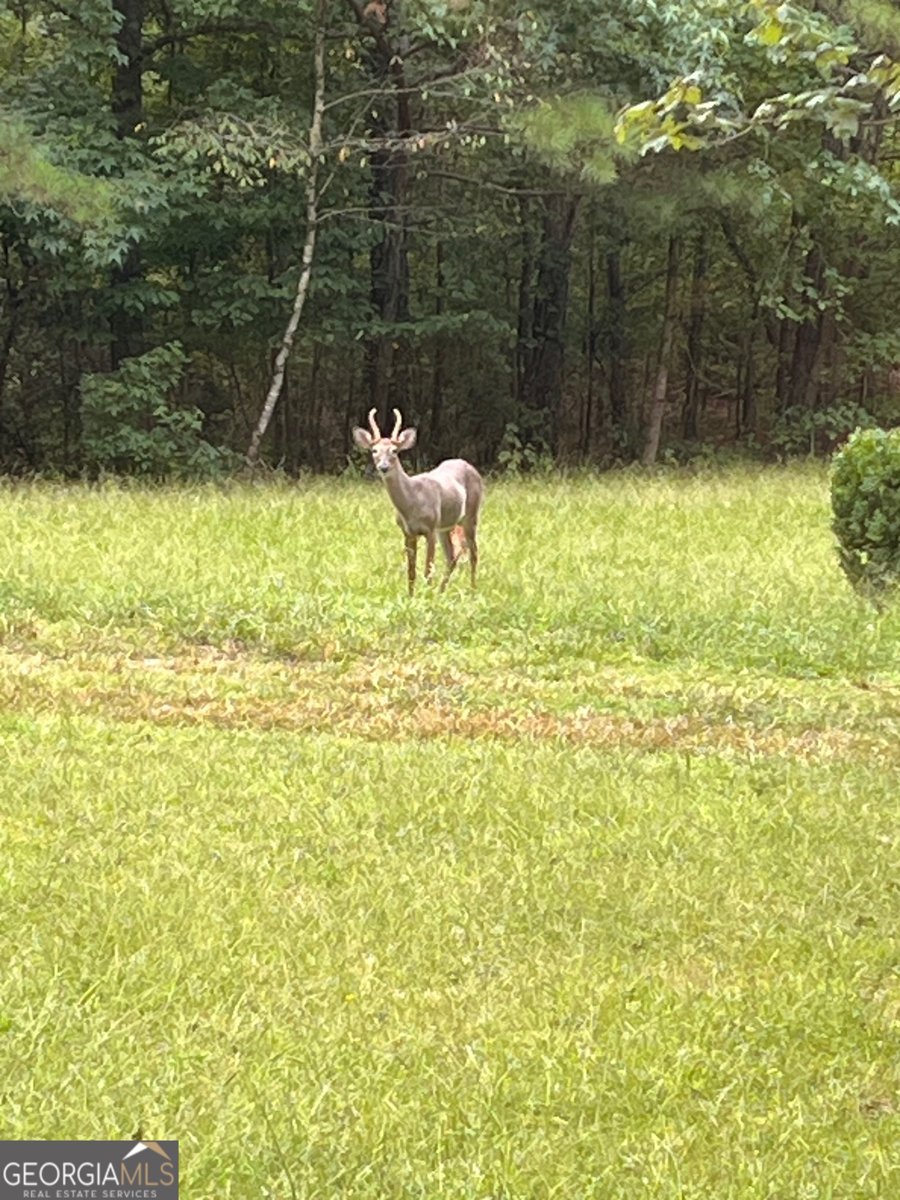 3545 Liberty Road Villa Rica - 50