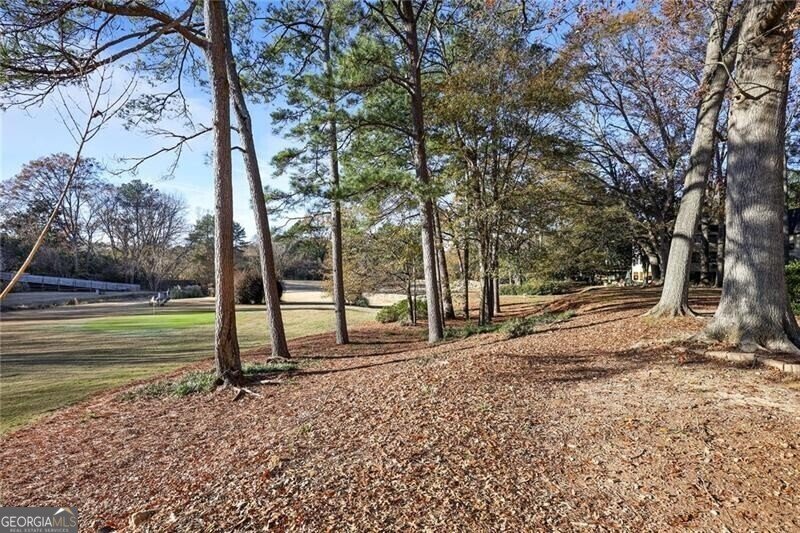 138 Elysian Way Atlanta - 28