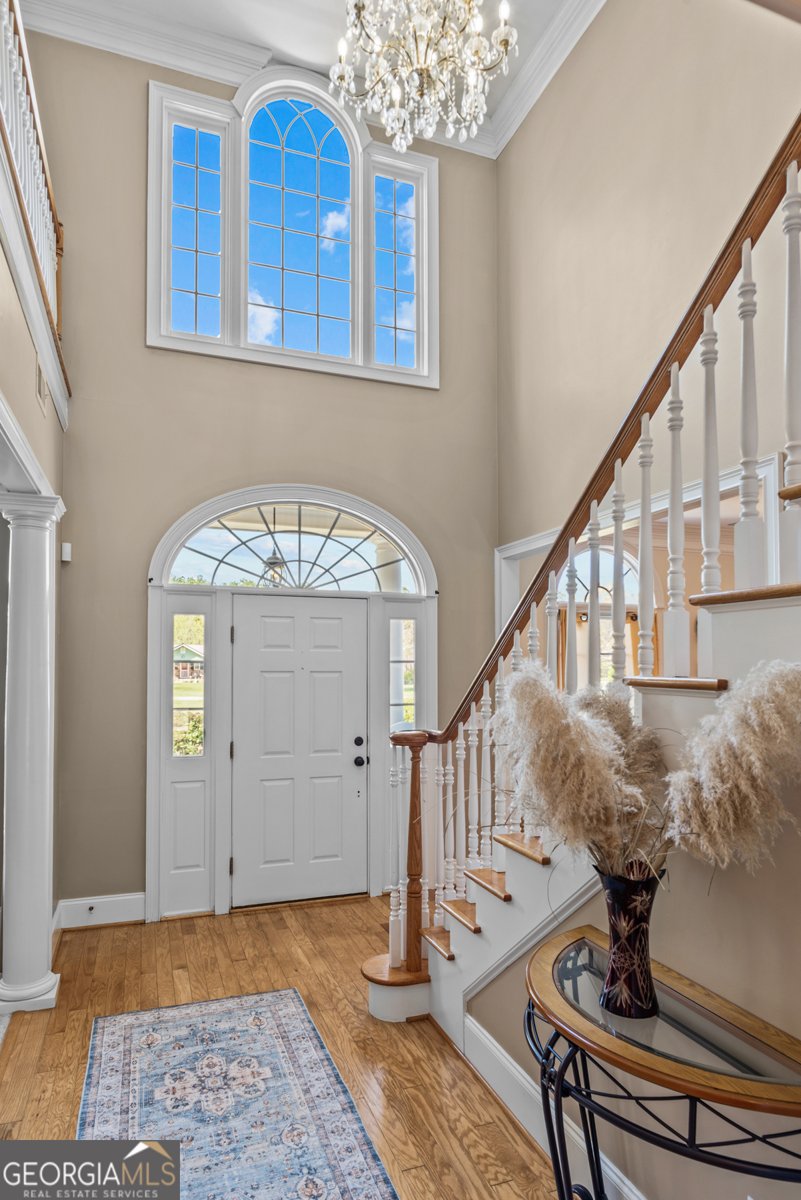168 Jersey Road Oxford - 13
