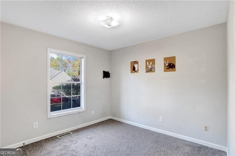 3337 Camens Way Buford - 24