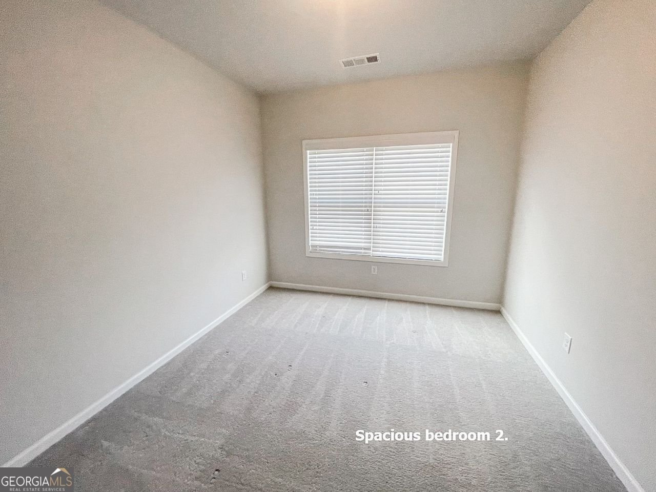 3695 ANDOVER Street Cumming - 28