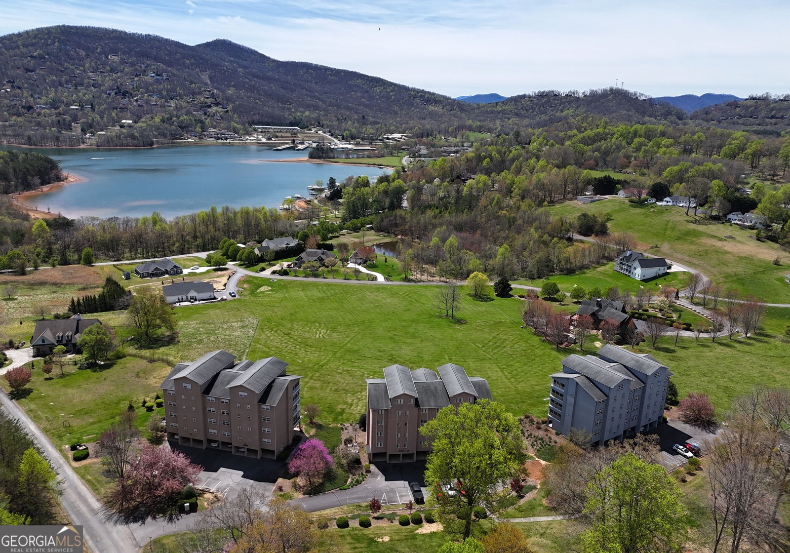 3112 Allison Court Young Harris - 36