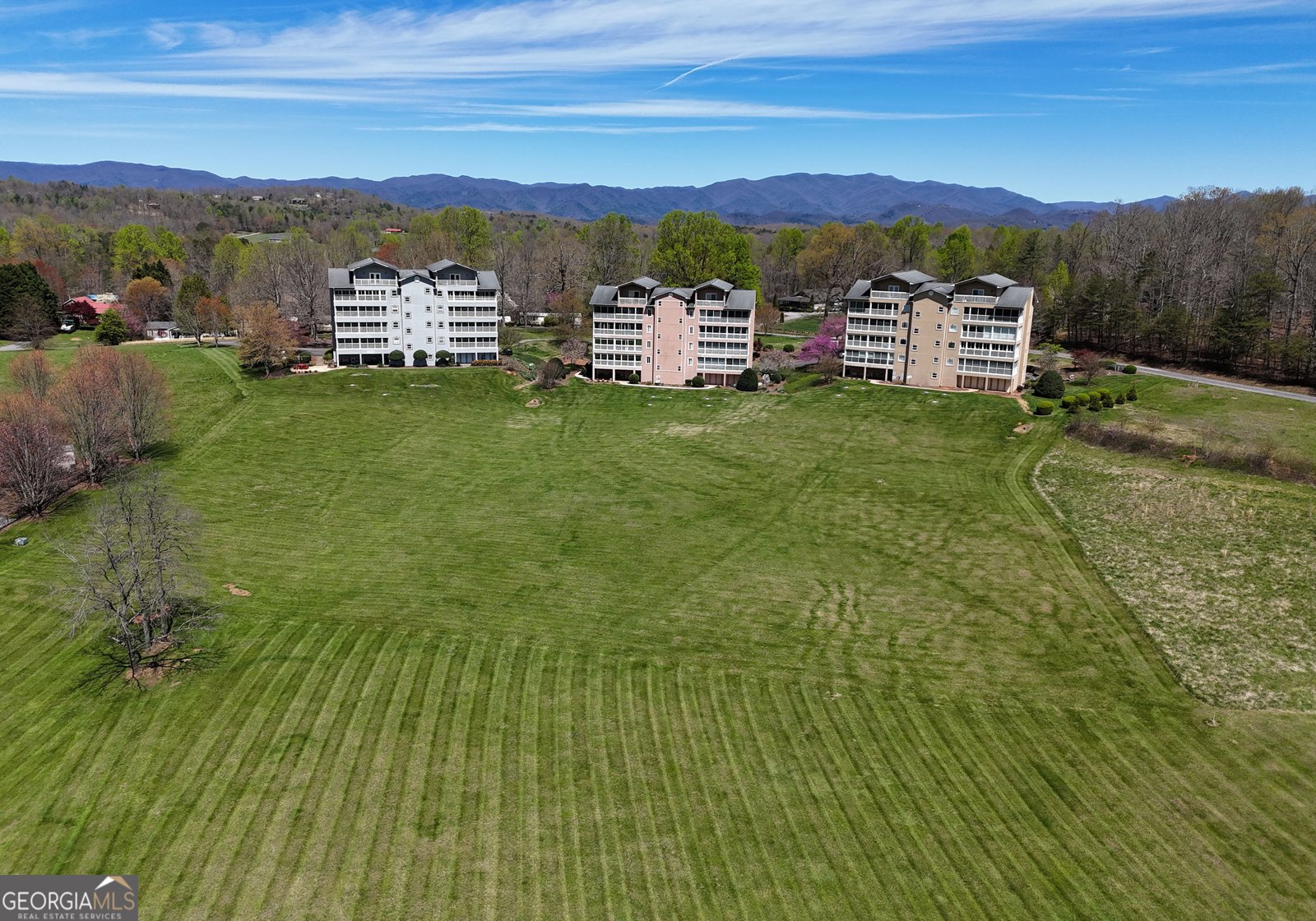 3112 Allison Court Young Harris - 38