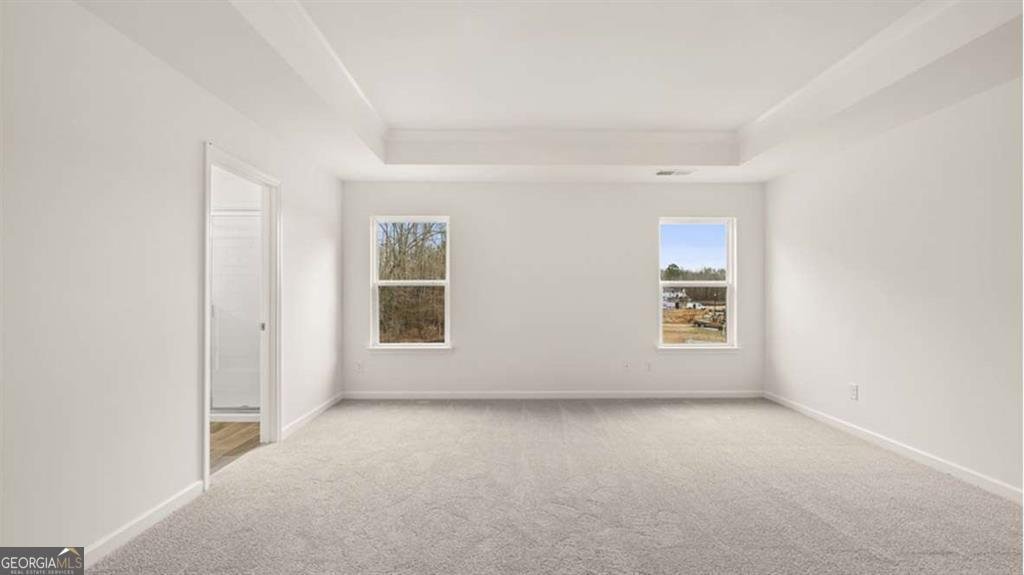 13917 Homer Lane Covington - 19