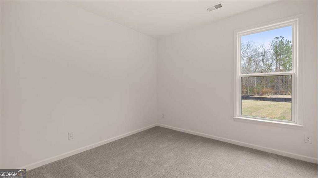 13917 Homer Lane Covington - 25