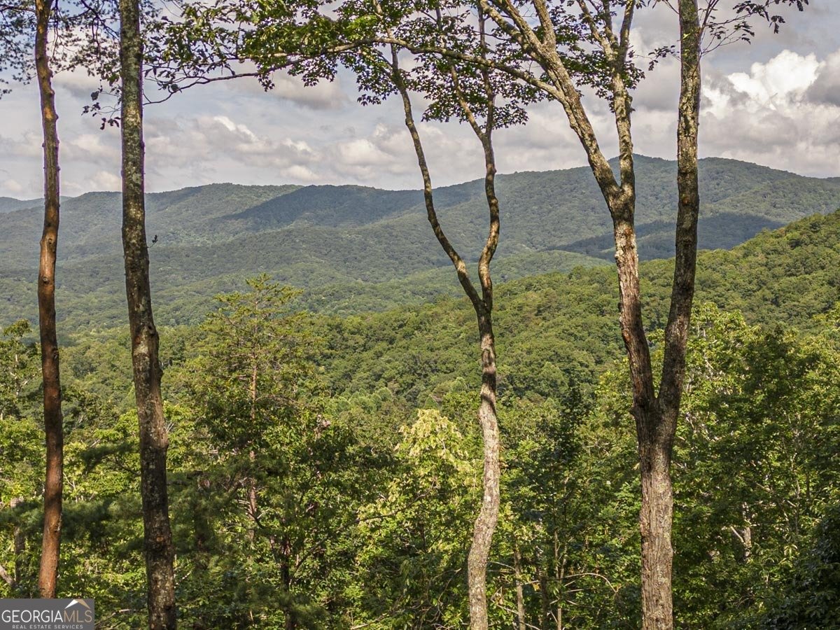 160 Arrowhead Pass Blue Ridge - 10