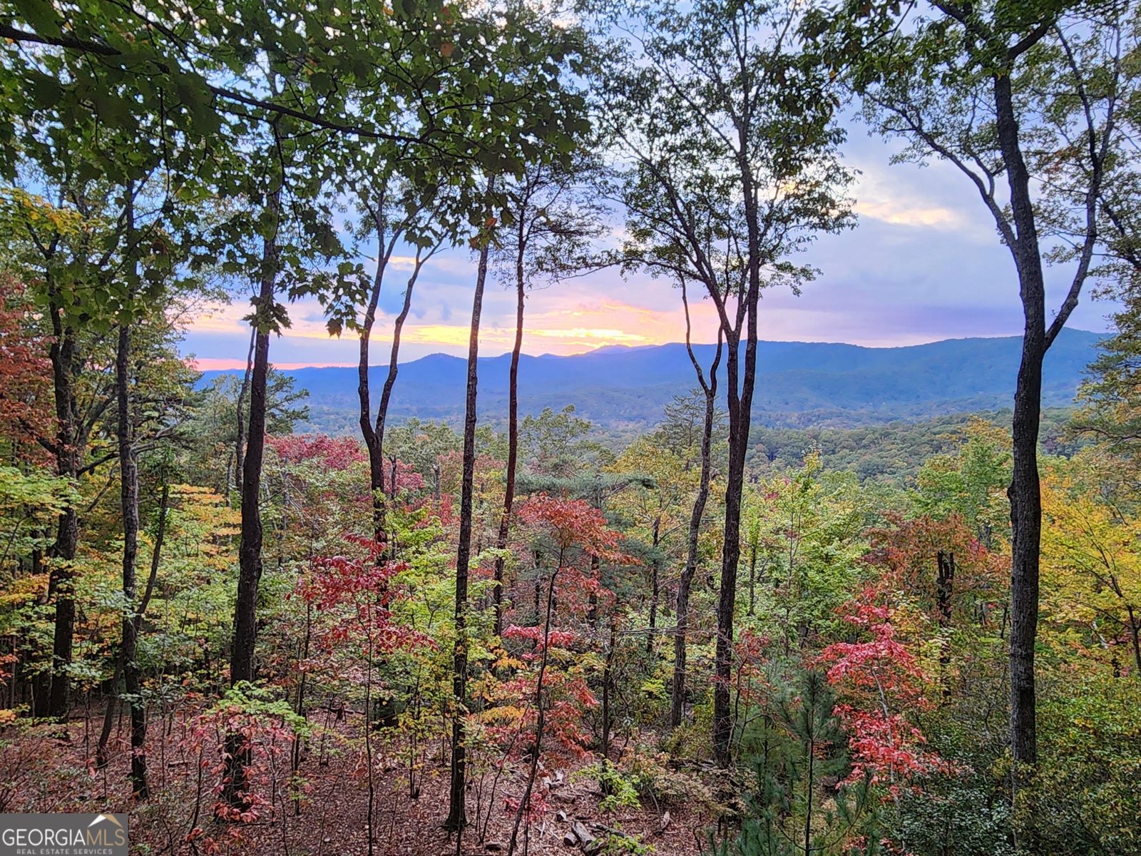 160 Arrowhead Pass Blue Ridge - 13