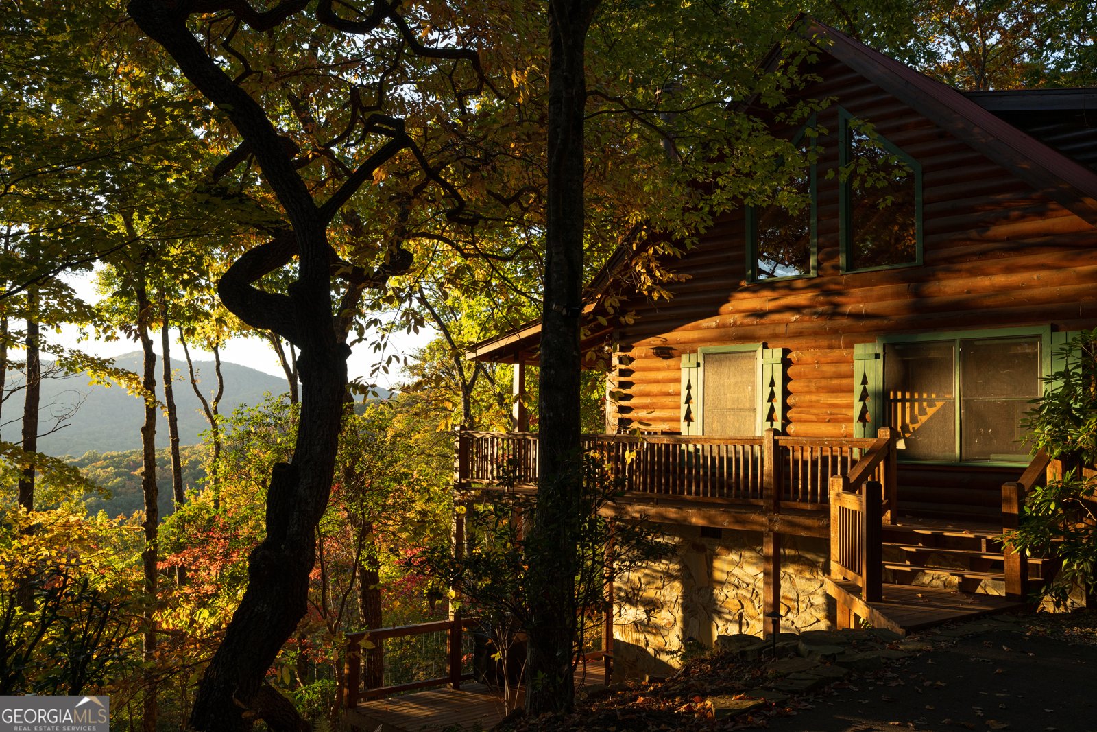 160 Arrowhead Pass Blue Ridge - 16