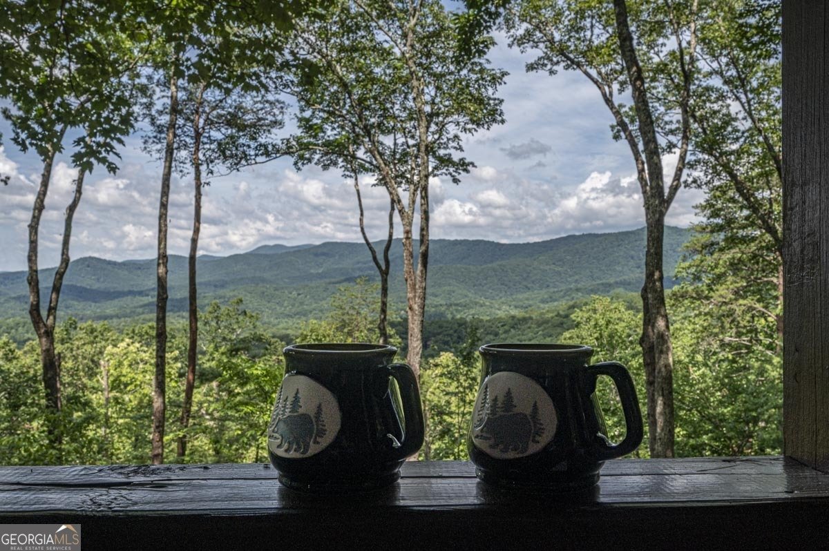 160 Arrowhead Pass Blue Ridge - 6