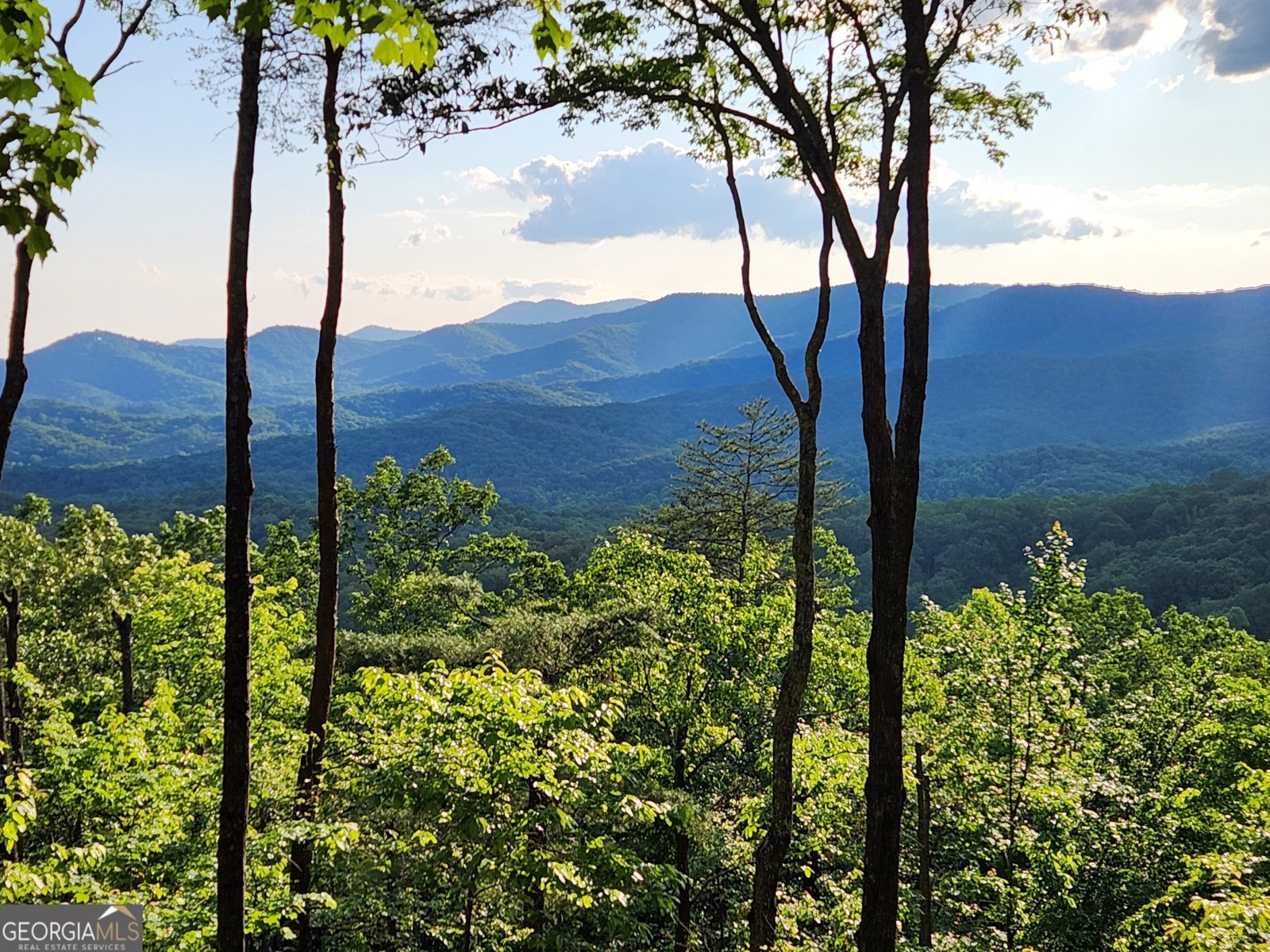 160 Arrowhead Pass Blue Ridge - 8