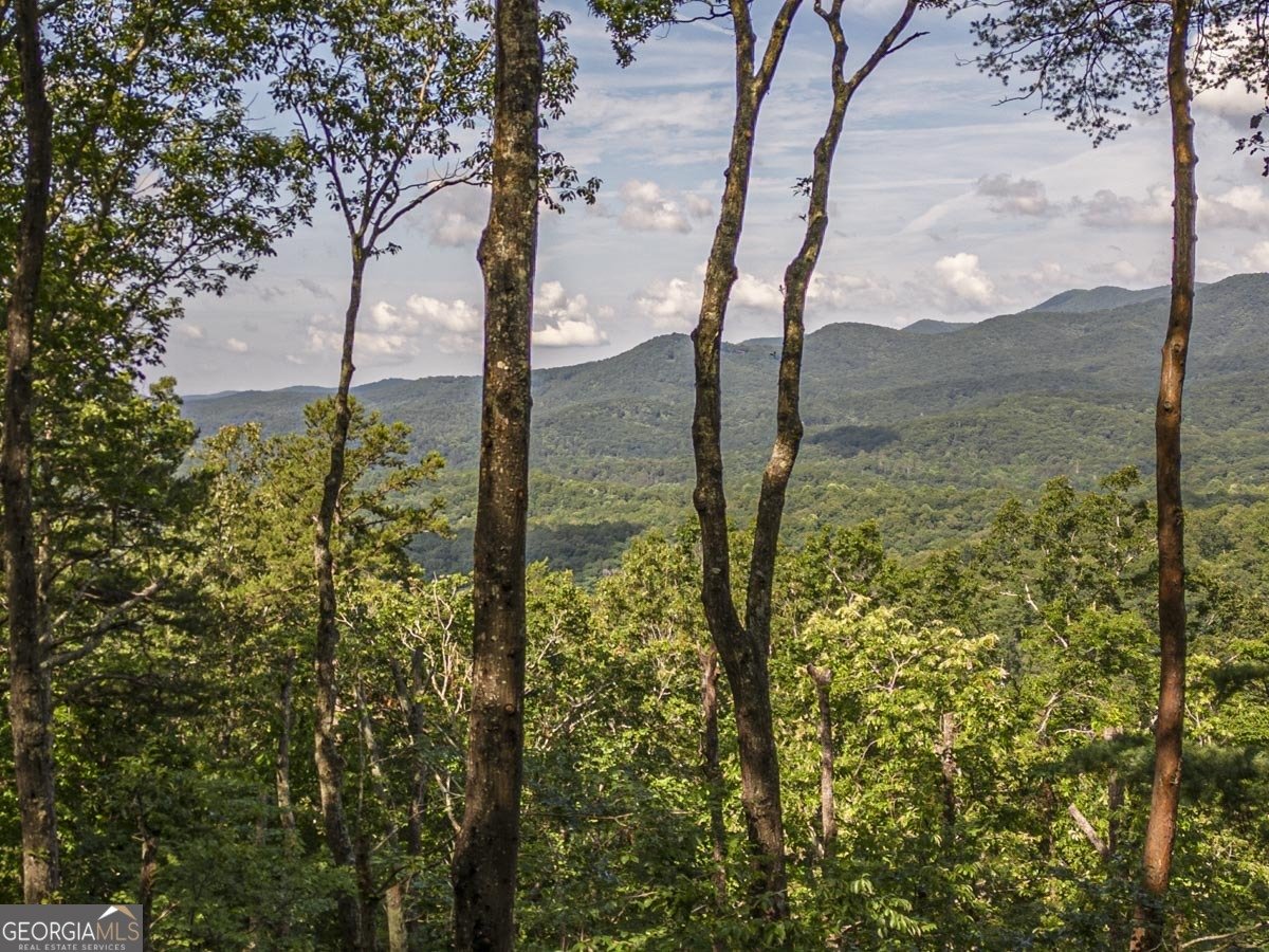 160 Arrowhead Pass Blue Ridge - 9