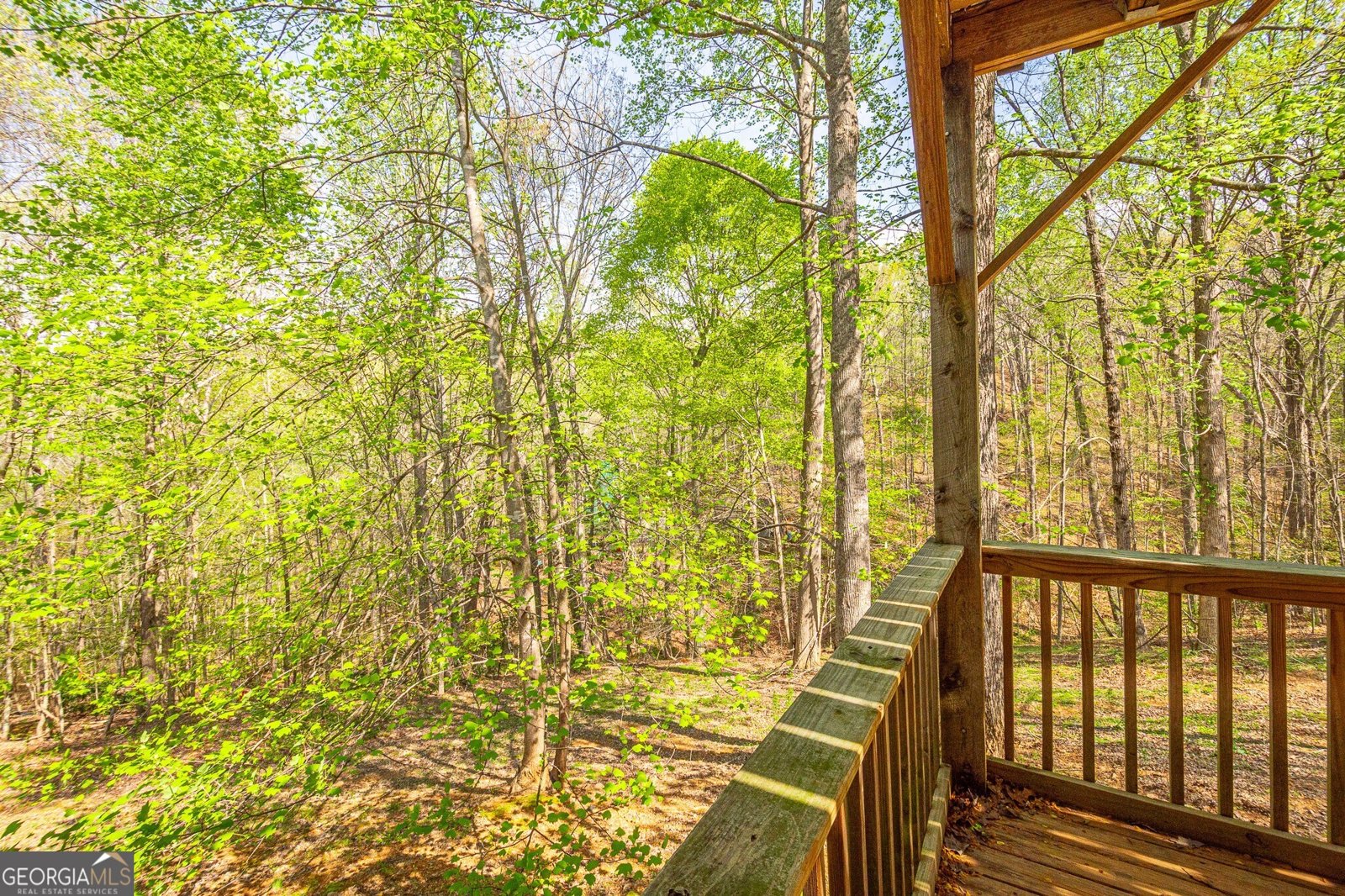 188 Hidden Cove Road Dahlonega - 8