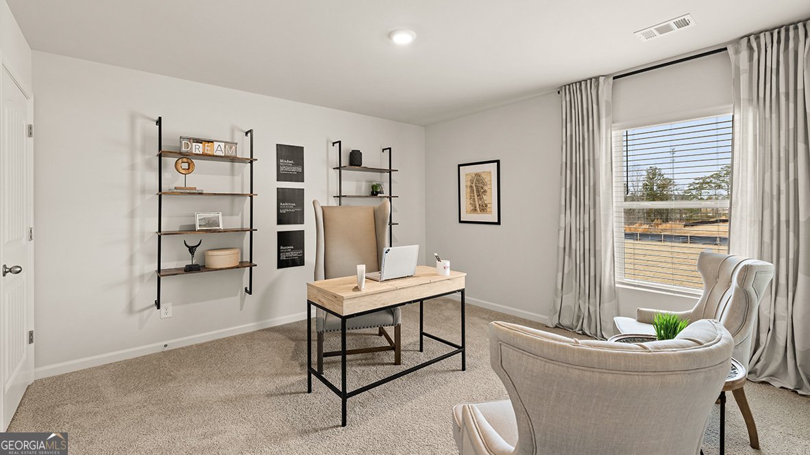 600 WHITMAN Lane Stockbridge - 16