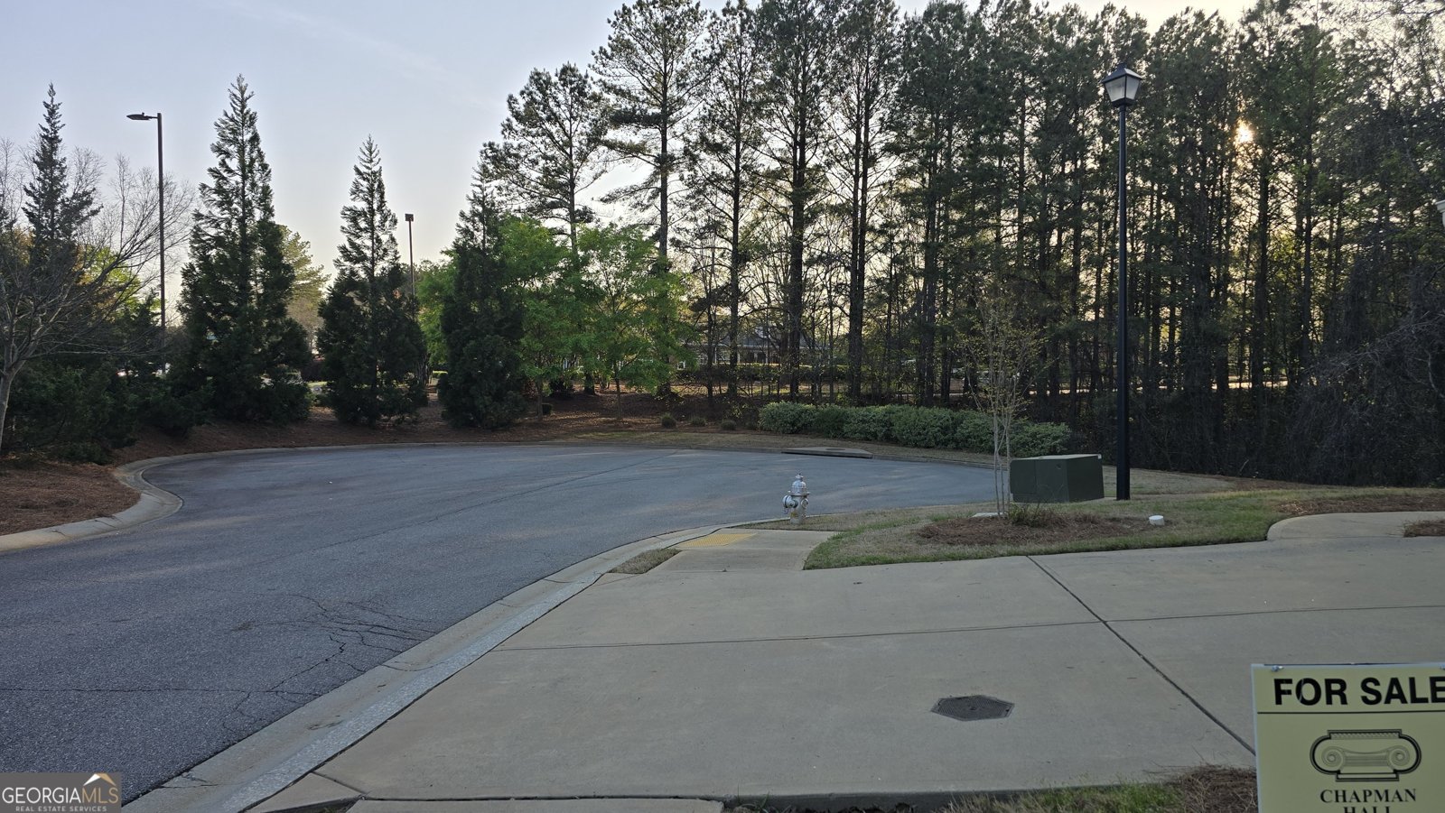 4440 Cedar Bridge Walk Suwanee - 59