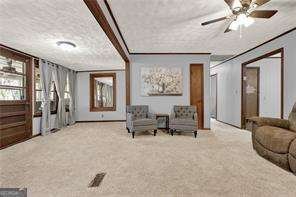 528 Lower Scott Mill Road Canton - 10