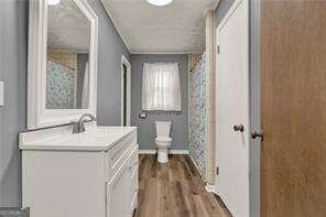 528 Lower Scott Mill Road Canton - 17
