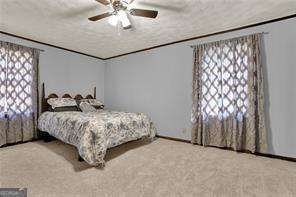 528 Lower Scott Mill Road Canton - 23