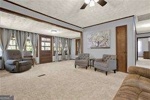 528 Lower Scott Mill Road Canton - 9