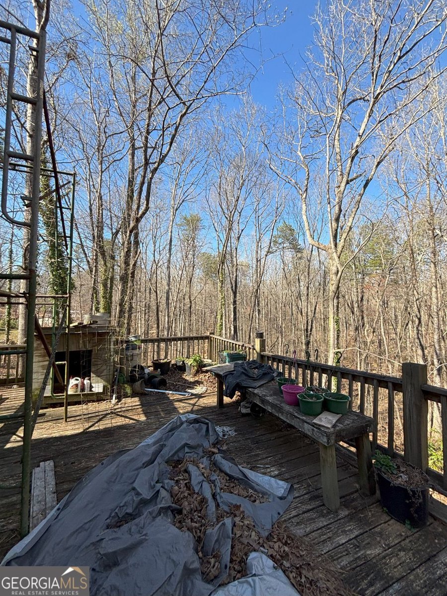 549 Eagles Nest Trail Ball Ground - 14