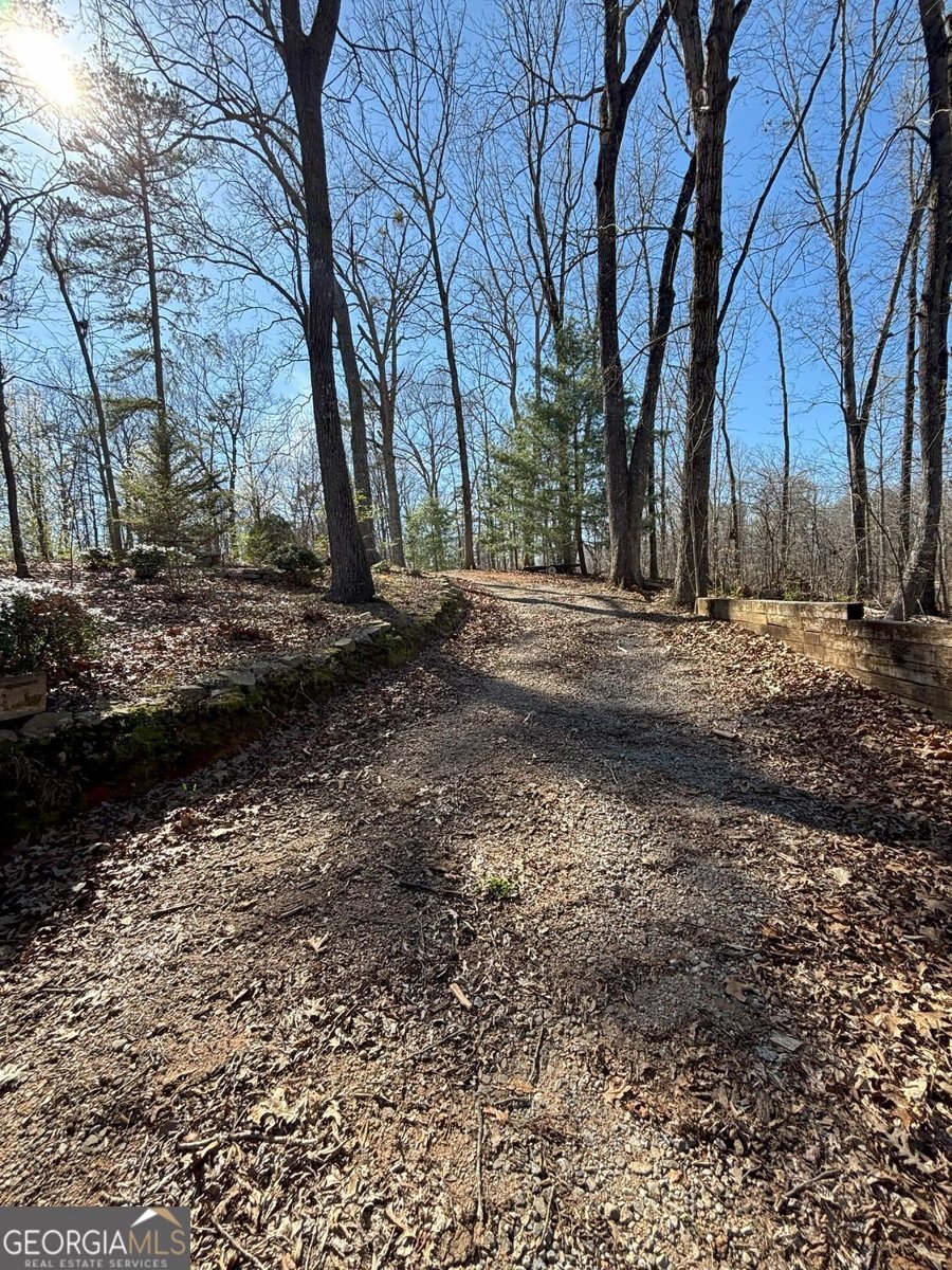 549 Eagles Nest Trail Ball Ground - 25