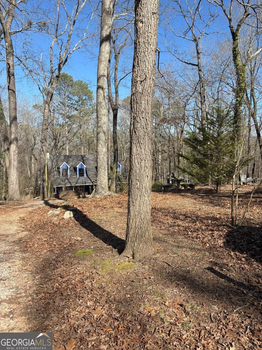 549 Eagles Nest Trail Ball Ground - 32