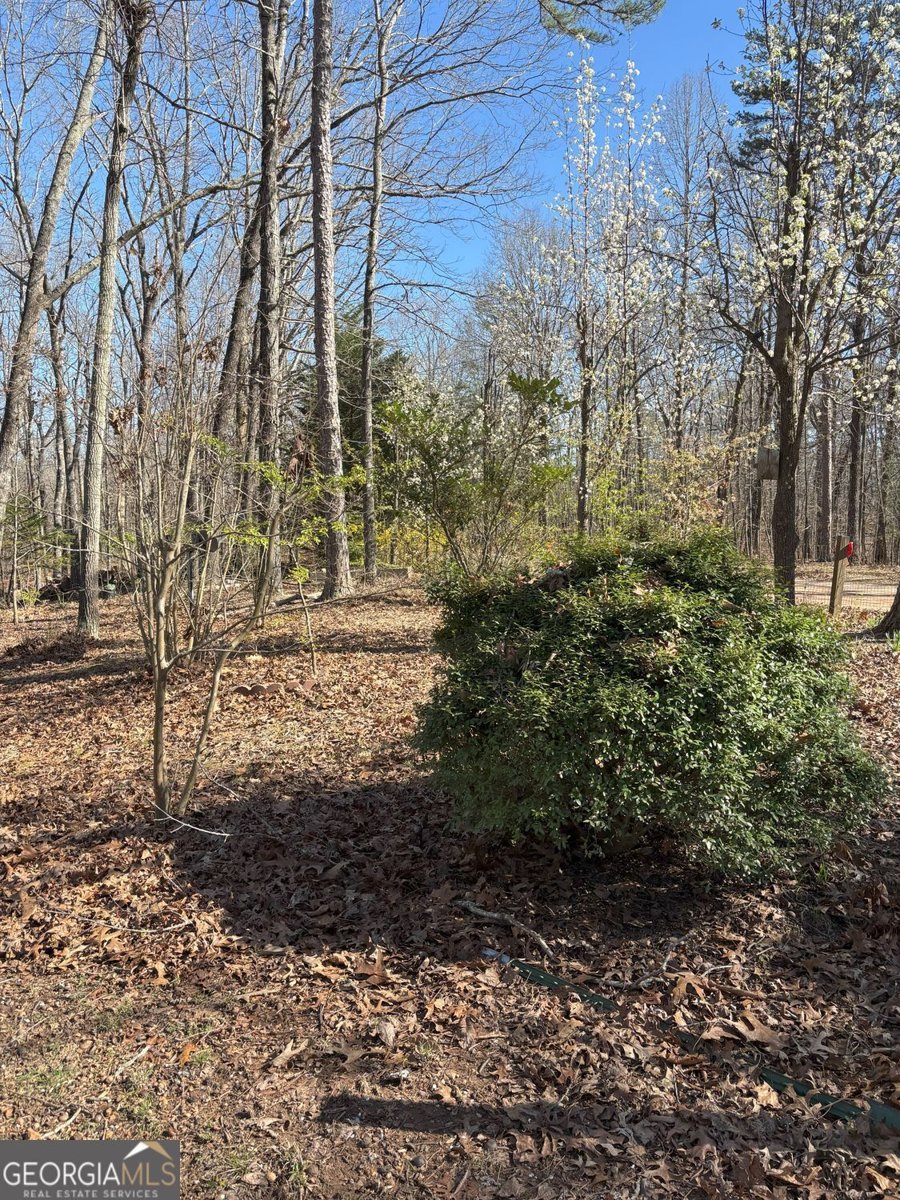 549 Eagles Nest Trail Ball Ground - 33