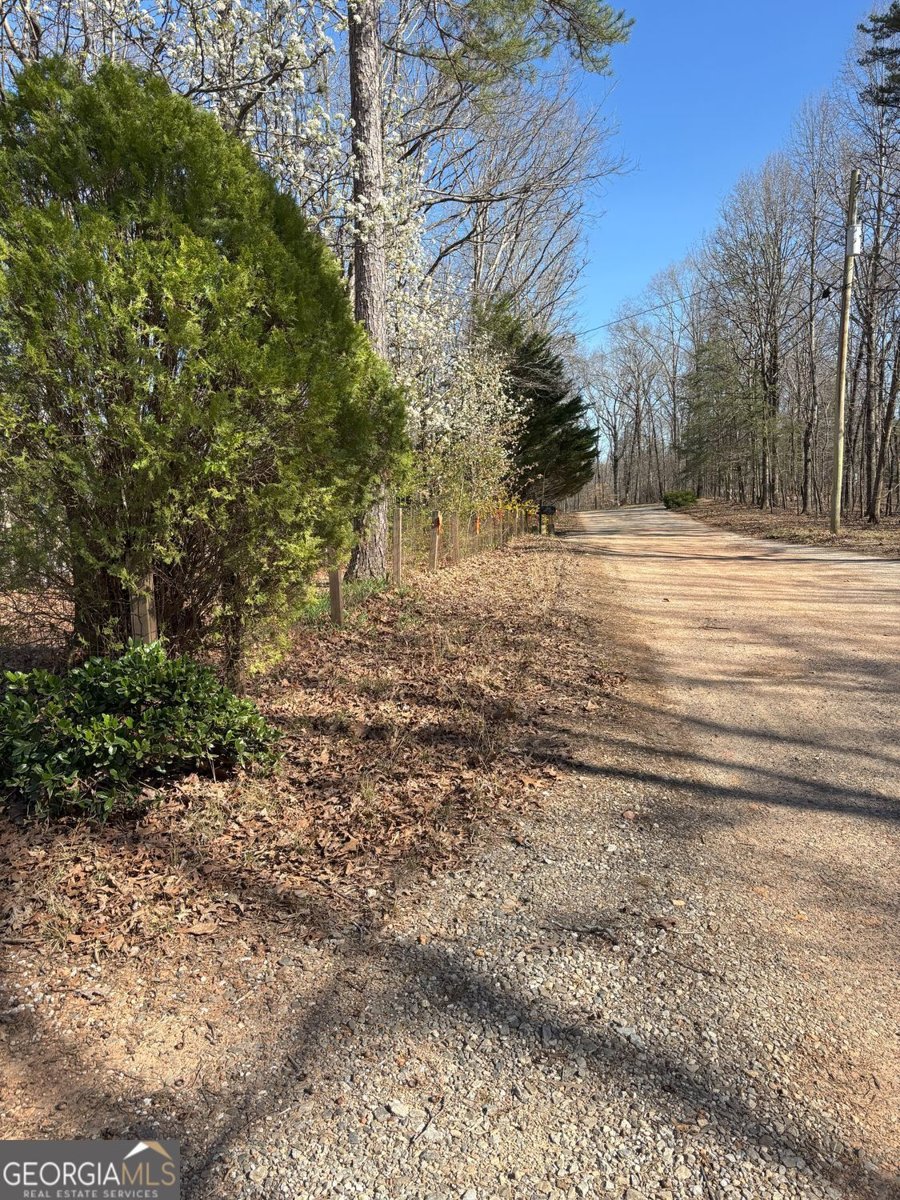 549 Eagles Nest Trail Ball Ground - 34