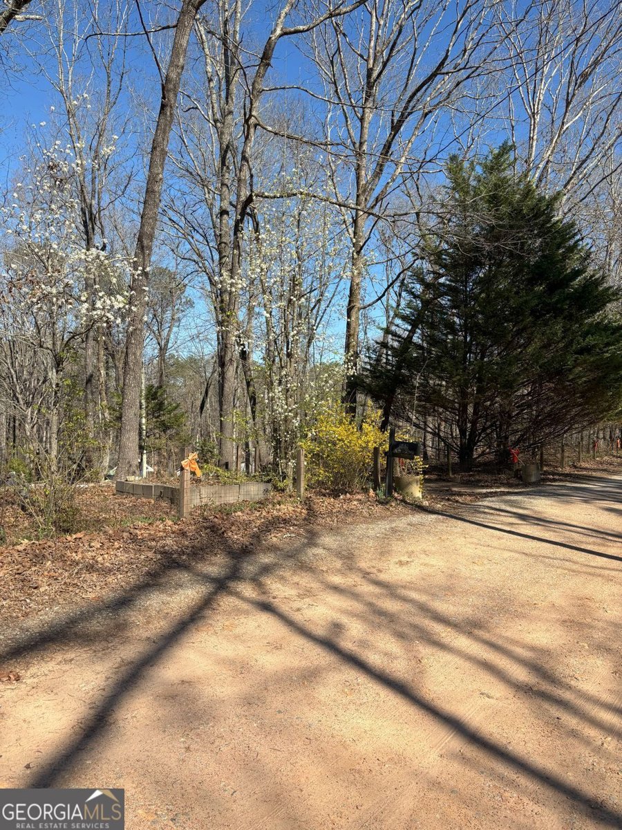 549 Eagles Nest Trail Ball Ground - 35