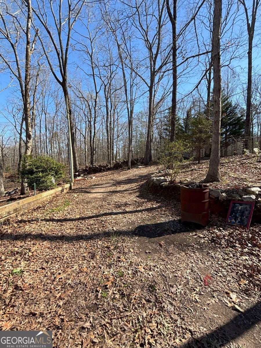 549 Eagles Nest Trail Ball Ground - 42