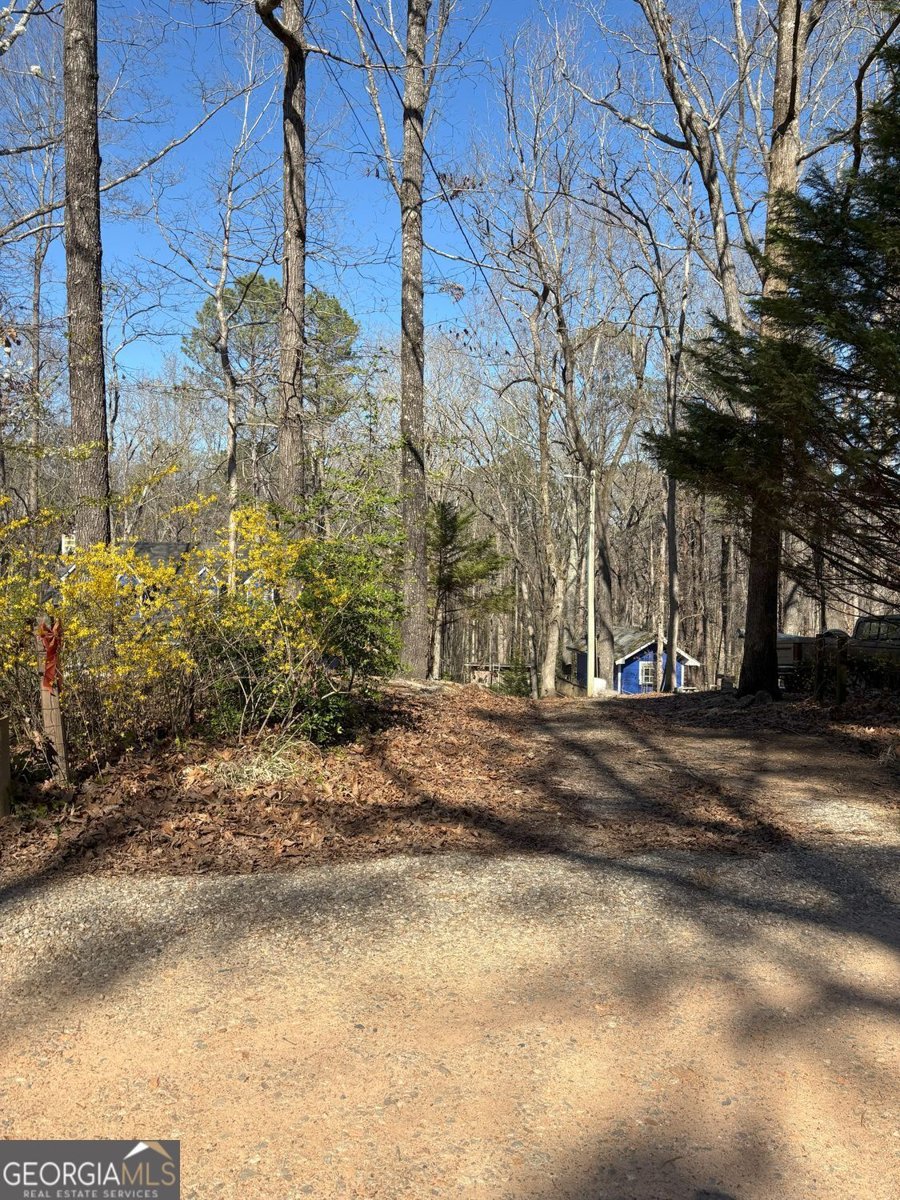 549 Eagles Nest Trail Ball Ground - 51