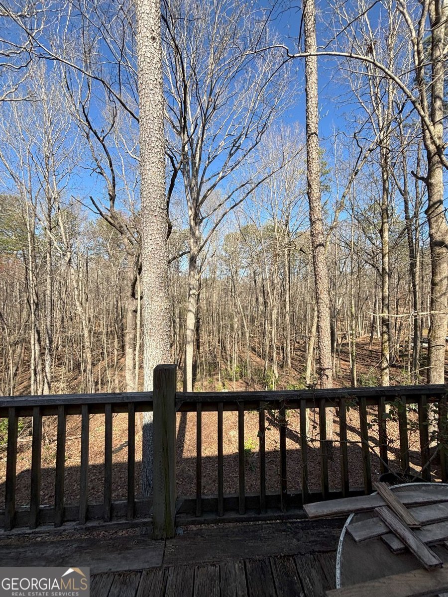 549 Eagles Nest Trail Ball Ground - 8
