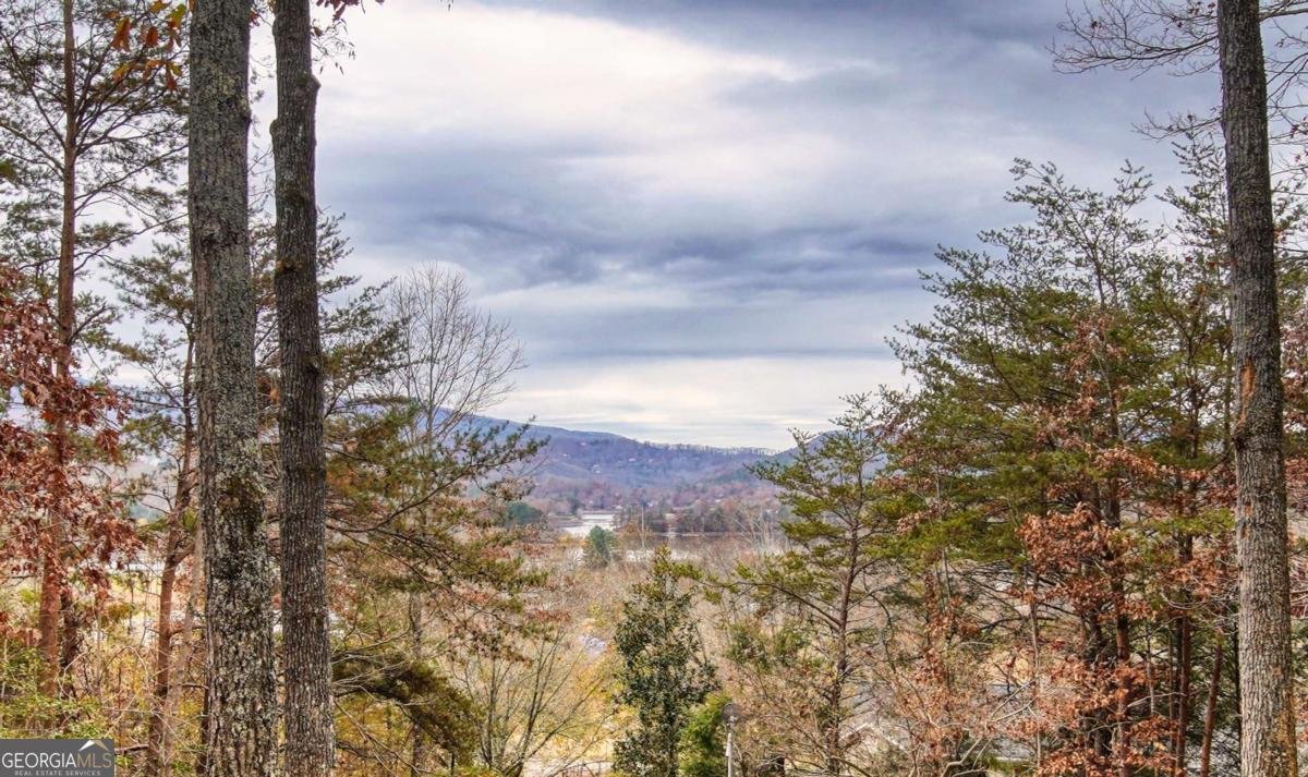 625 McRidge Road Hiawassee - 14