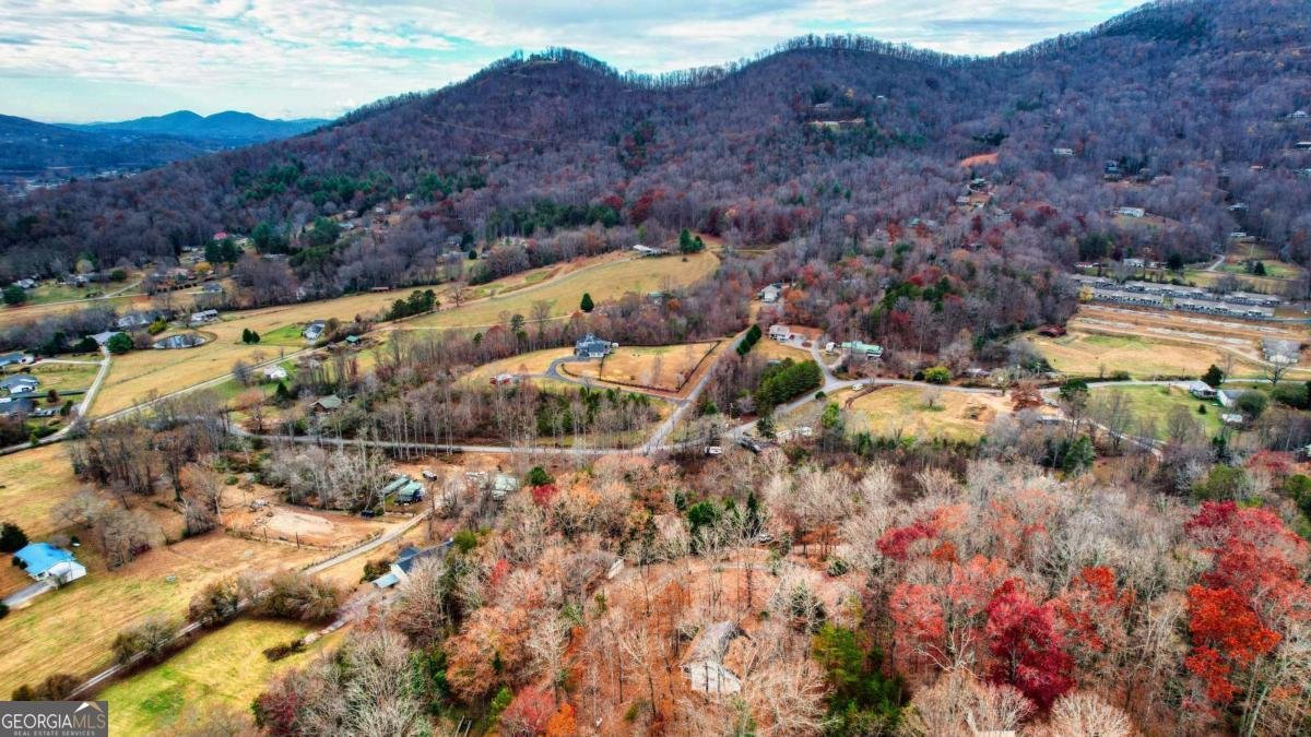625 McRidge Road Hiawassee - 20