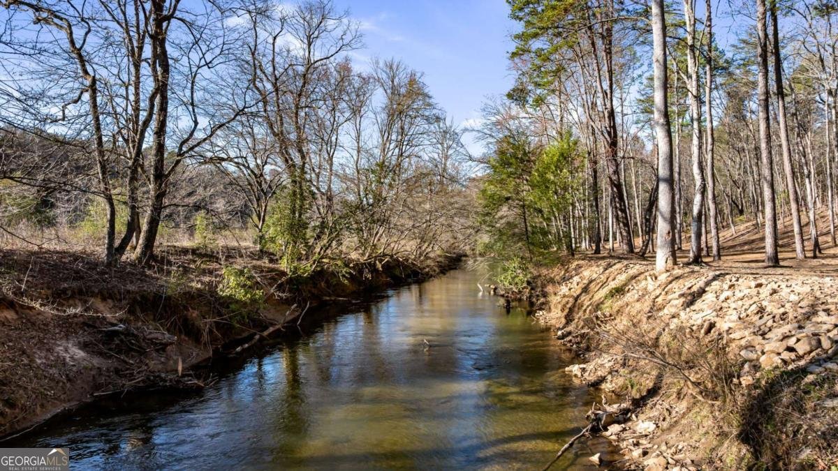 287 Cool Creek Trail Blue Ridge - 19