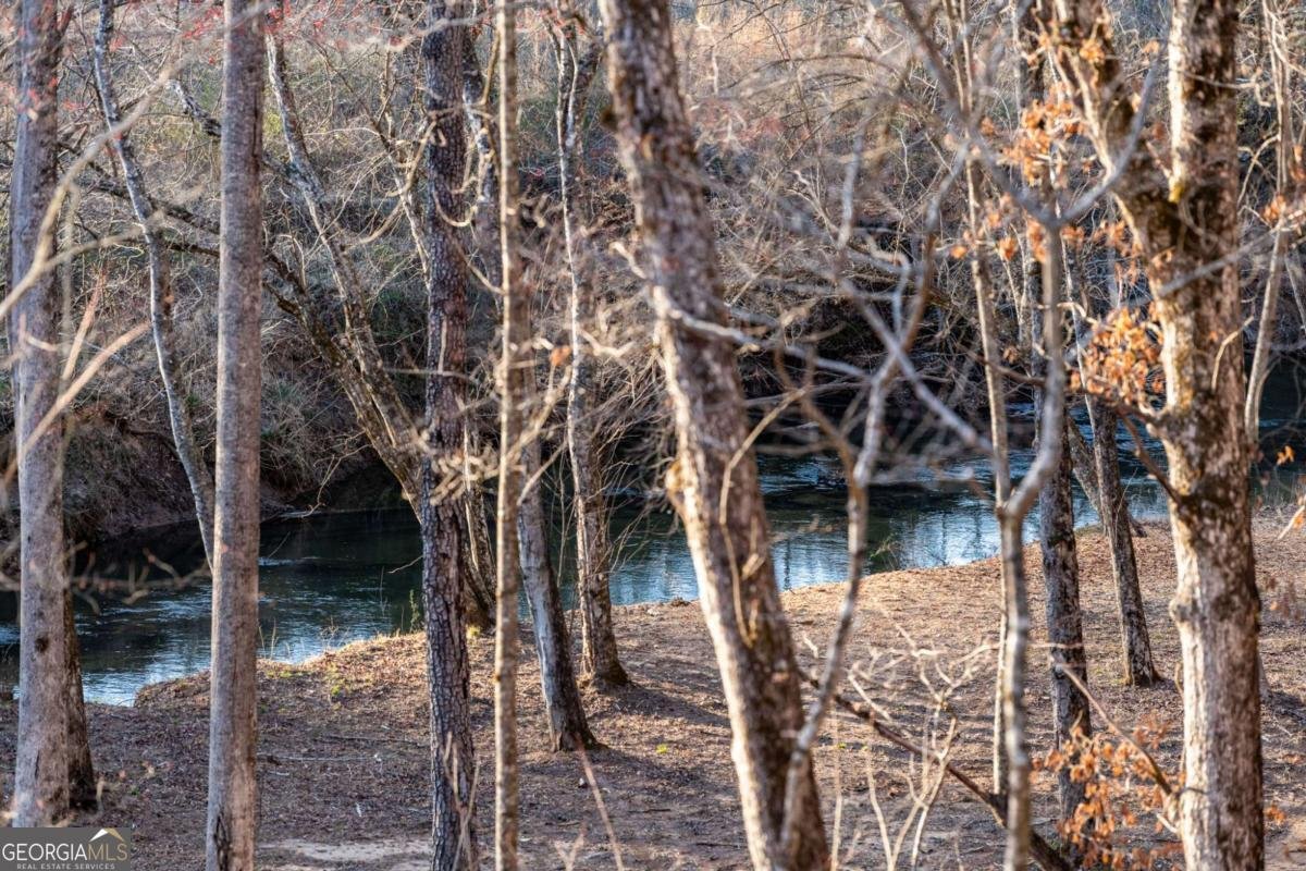 287 Cool Creek Trail Blue Ridge - 22