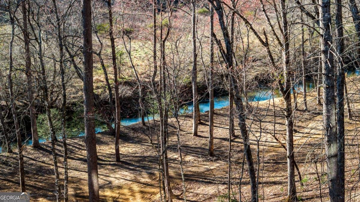 287 Cool Creek Trail Blue Ridge - 30