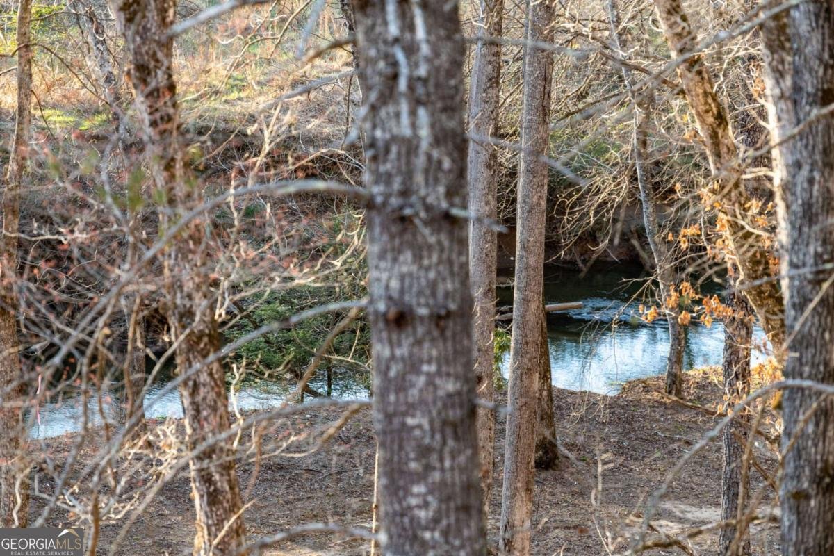 287 Cool Creek Trail Blue Ridge - 35