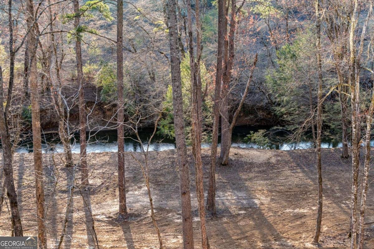 287 Cool Creek Trail Blue Ridge - 4