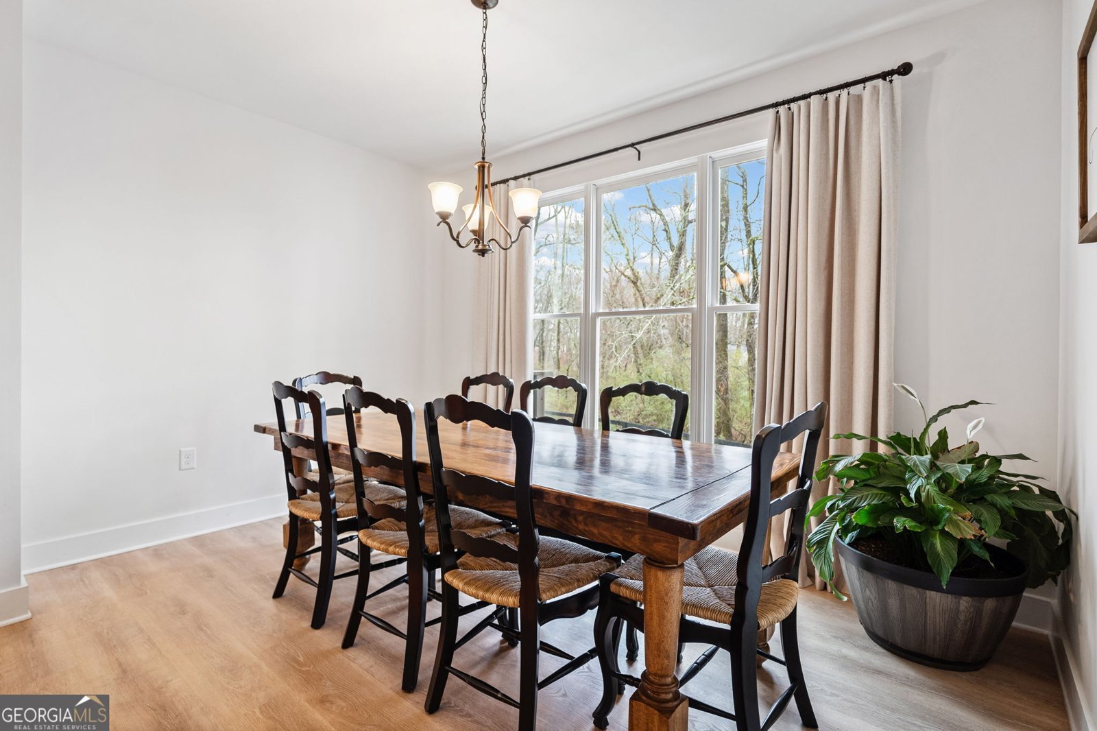 2442 Lower Union Hill Road Canton - 15