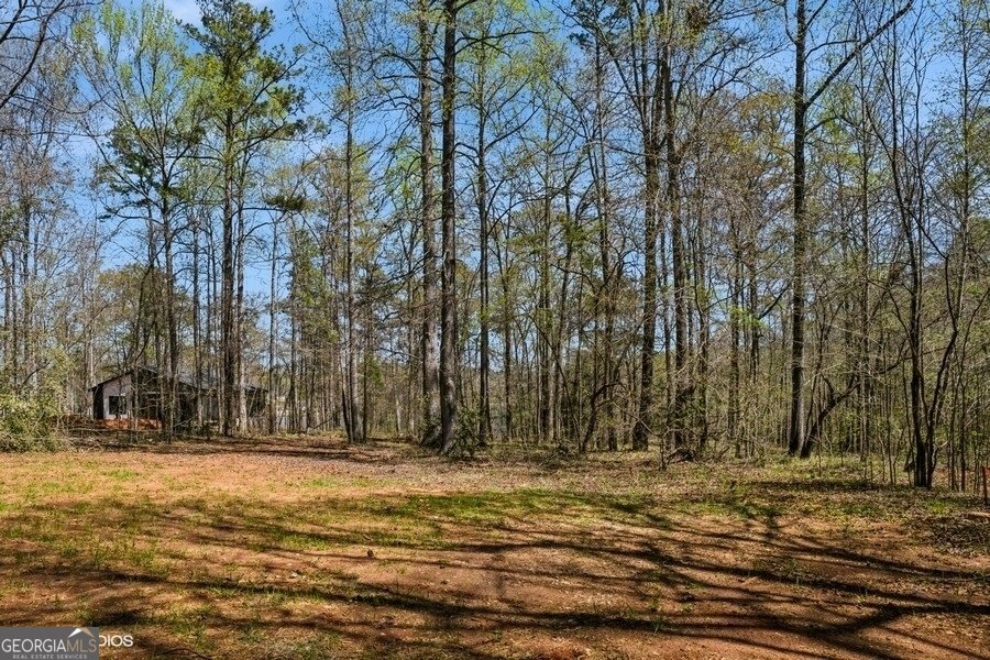 252 Merry Drive Milledgeville - 4