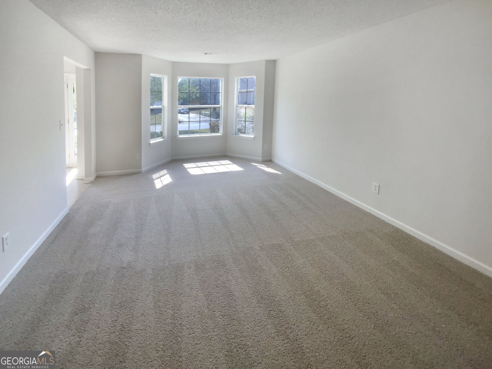 501 Fable Lane Canton - 12