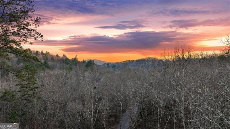 68 Shalom View Blue Ridge - 46