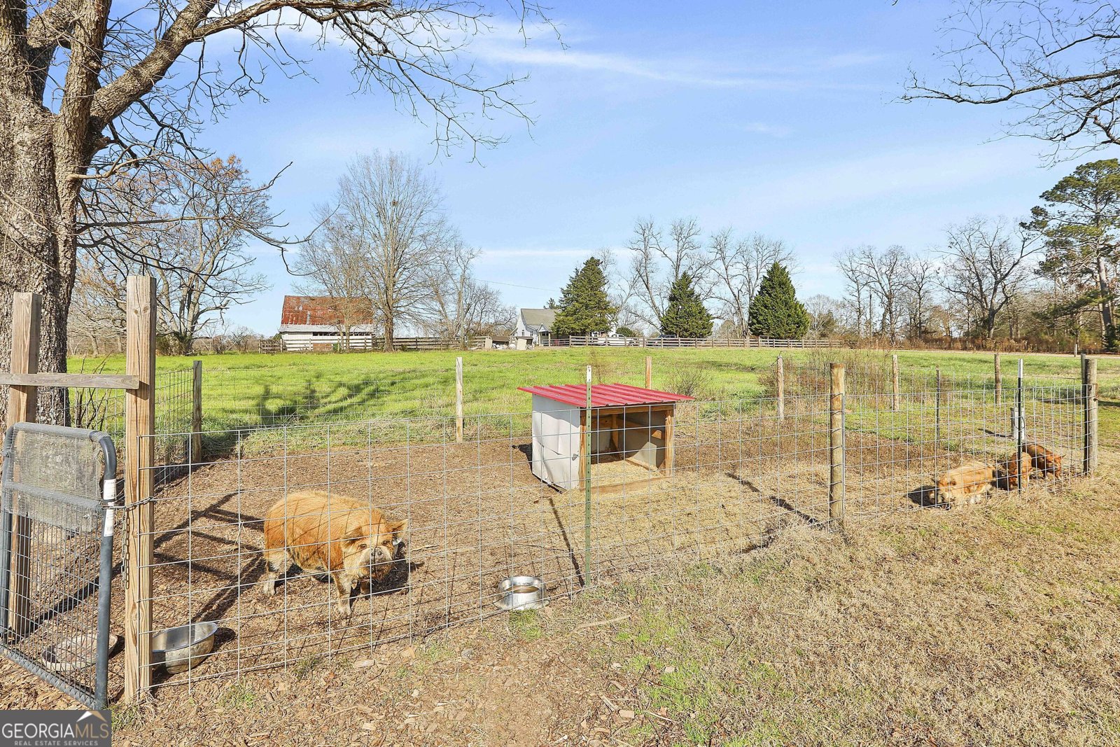 275 Mulberry Road Molena - 40