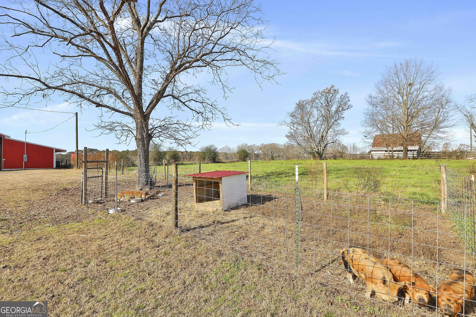 275 Mulberry Road Molena - 41