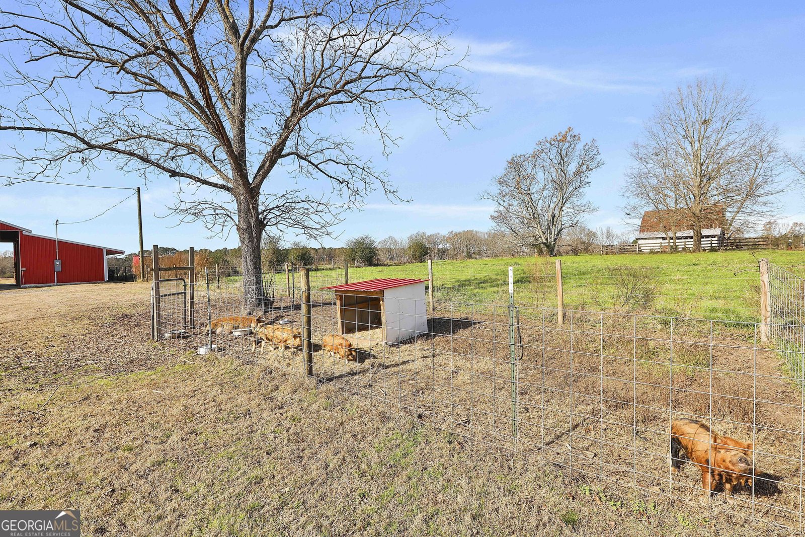 275 Mulberry Road Molena - 42