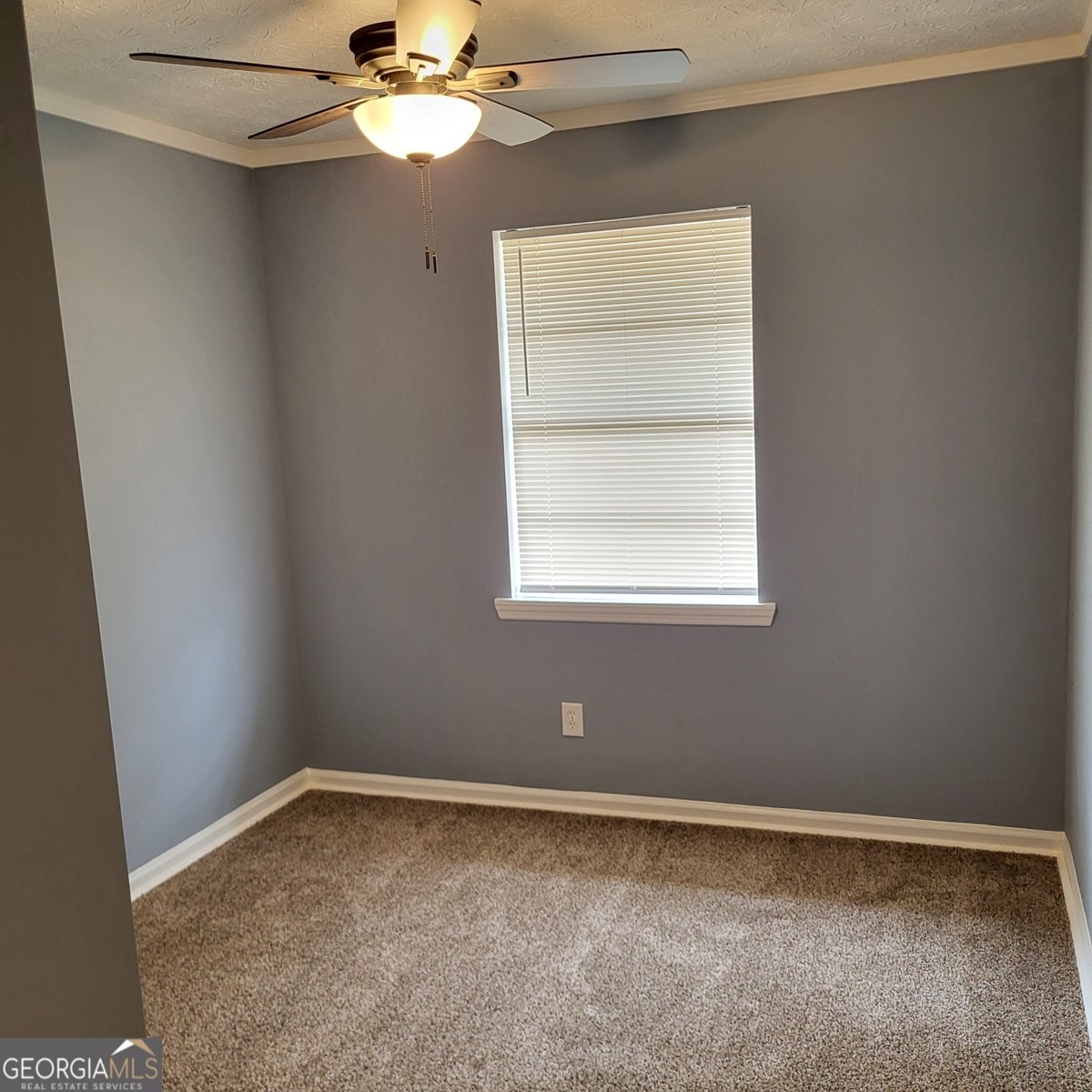 317 Martin Luther King Drive Valley - 15