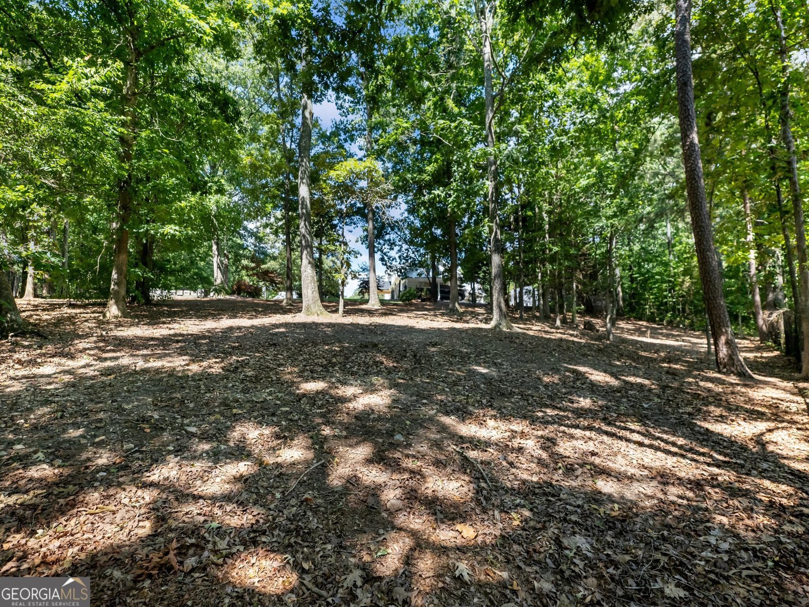 3965 Hamilton View Way Dacula - 71